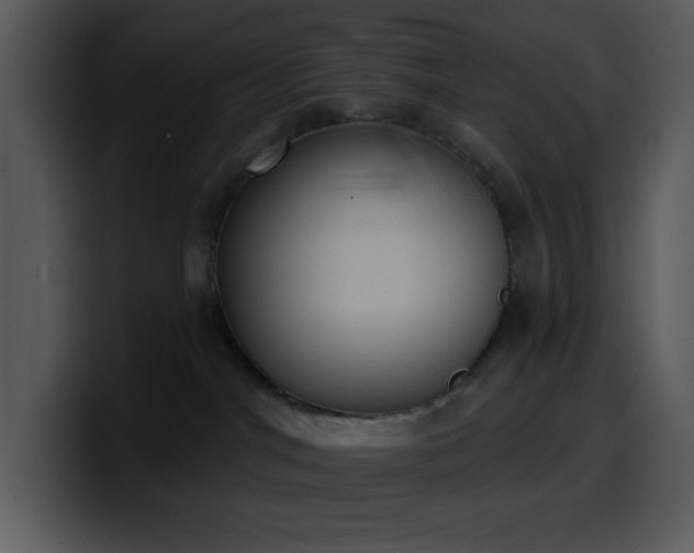 X0000100410044200806061351