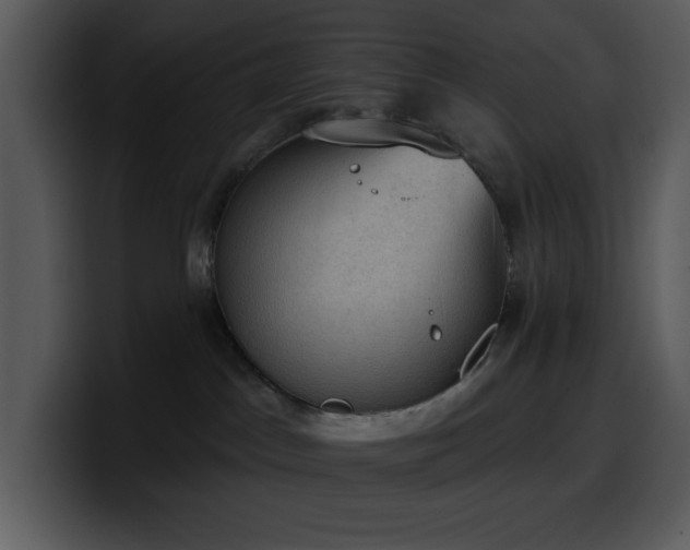 X0000100410045200806061351