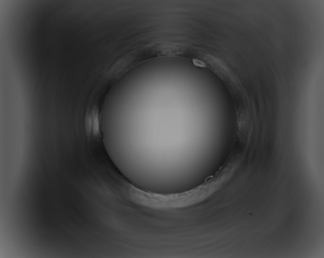 X0000100410046200806061351