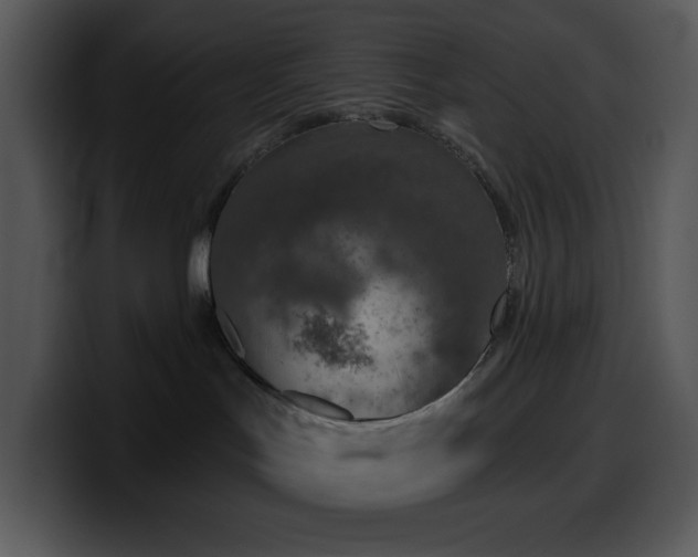 X0000100410047200806061351