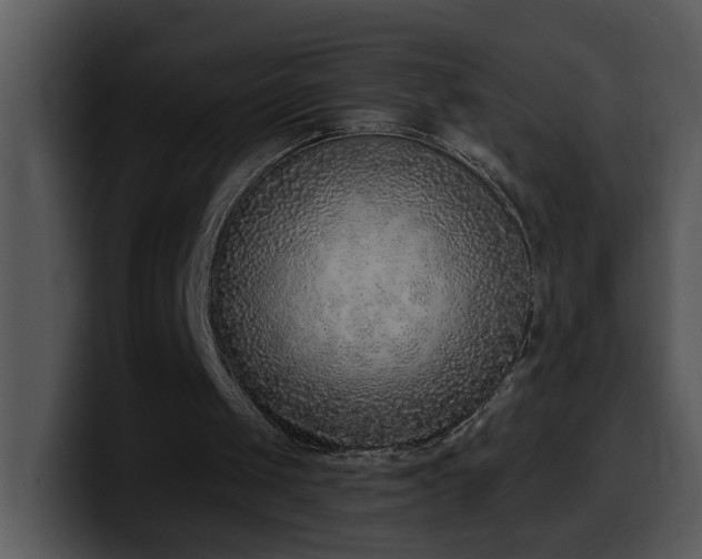 X0000100410049200806061350