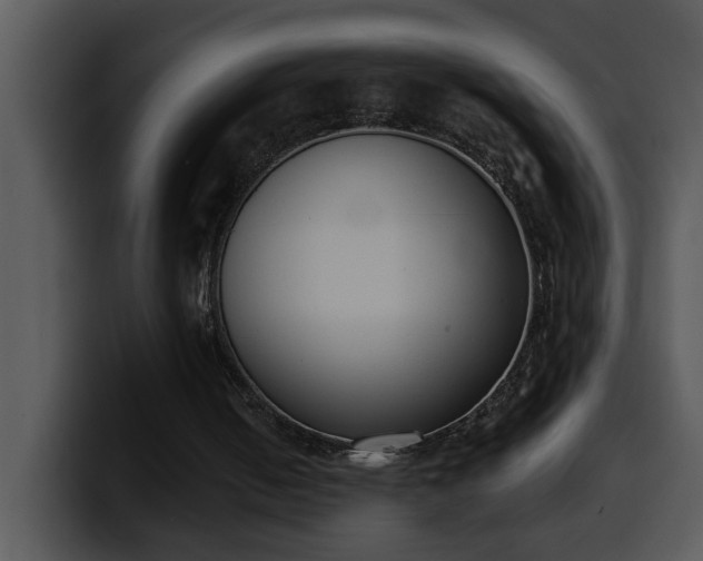 X0000100410050200806061350