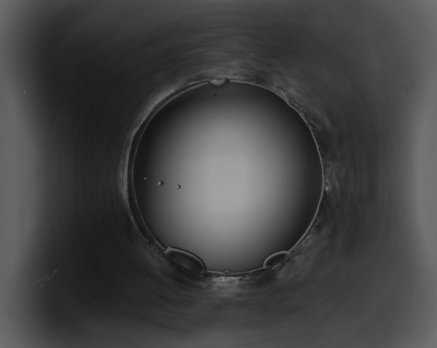 X0000100410052200806061350