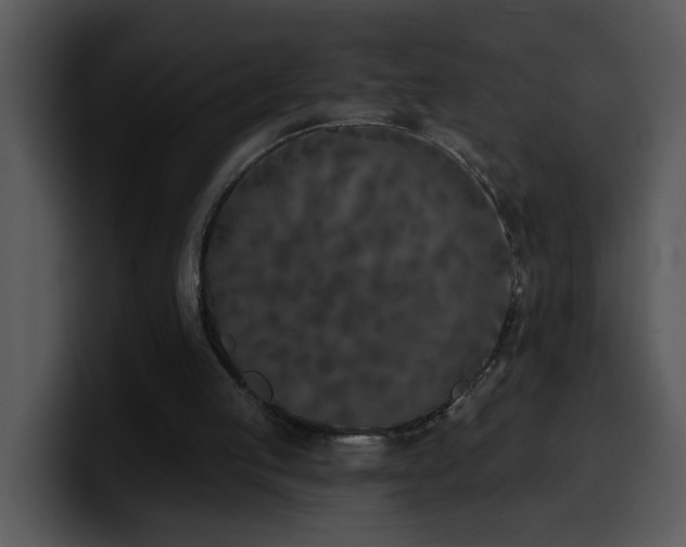 X0000100410053200806061350