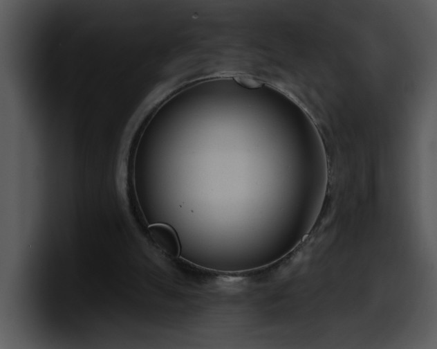 X0000100410055200806061350