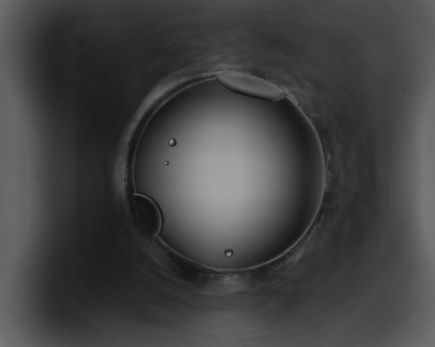 X0000100410056200806061350