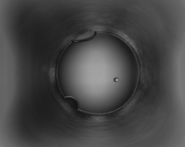 X0000100410057200806061350