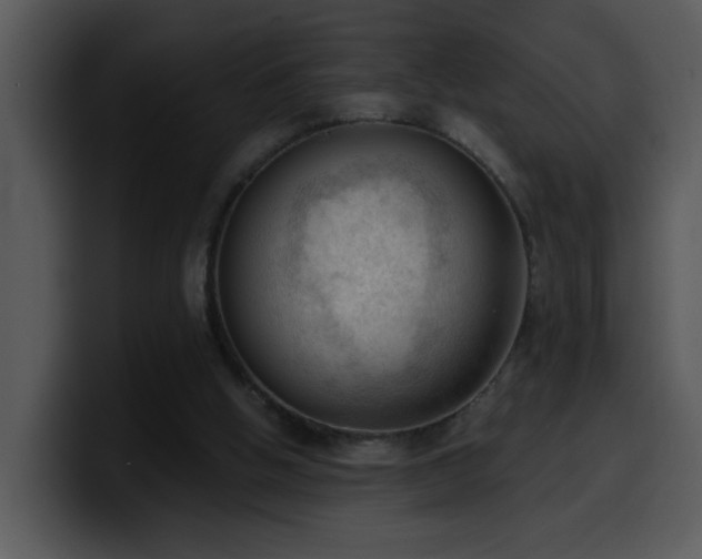 X0000100410058200806061350