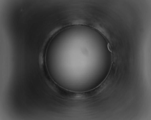 X0000100410060200806061350