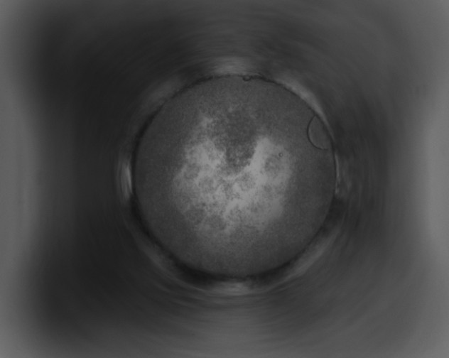 X0000100410061200806061350