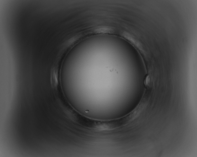 X0000100410062200806061350