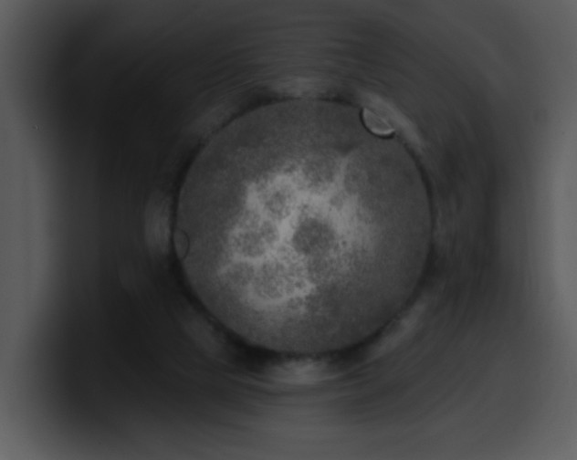 X0000100410065200806061350