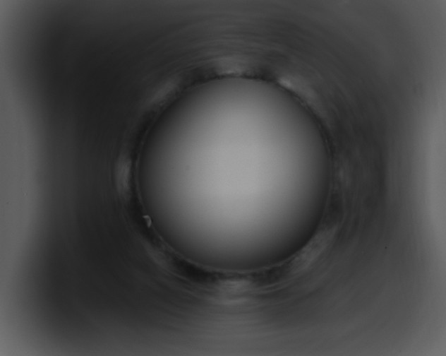 X0000100410066200806061350