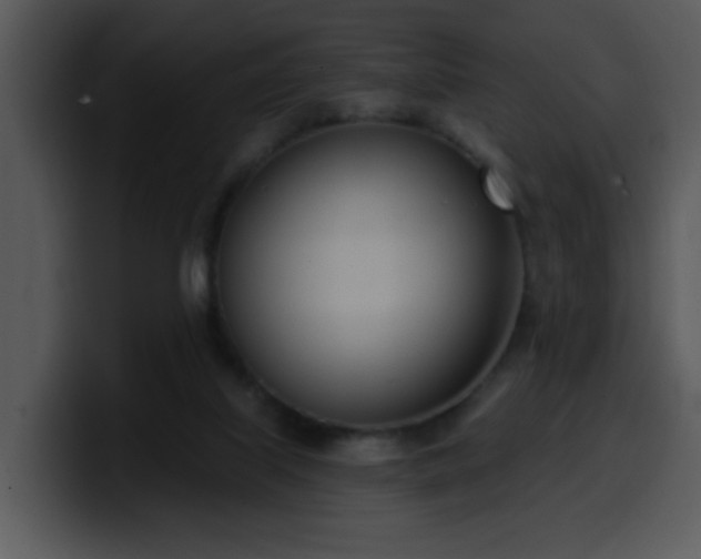 X0000100410067200806061350