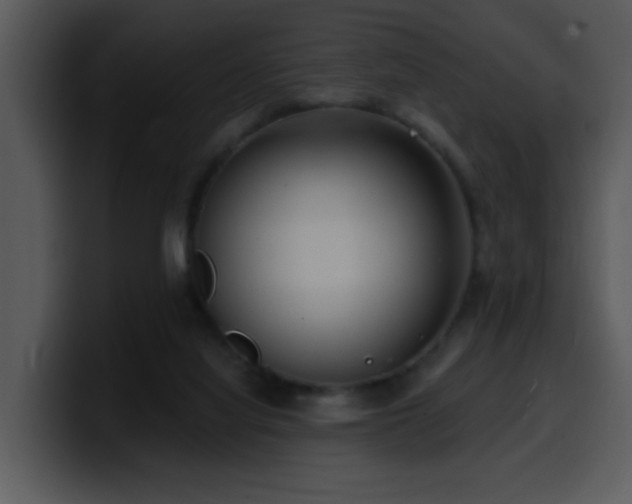 X0000100410068200806061350