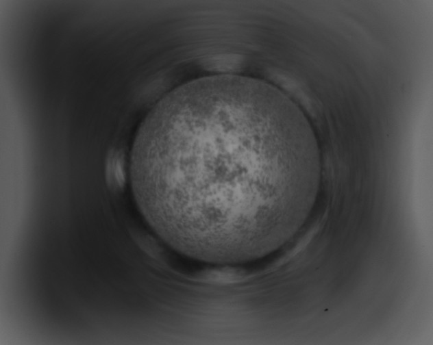 X0000100410069200806061350