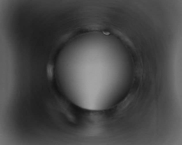 X0000100410070200806061350