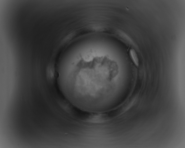 X0000100410072200806061350