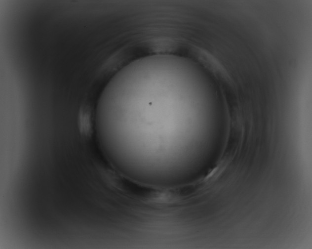 X0000100410074200806061350