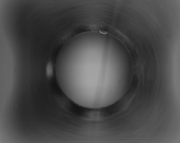 X0000100410075200806061350