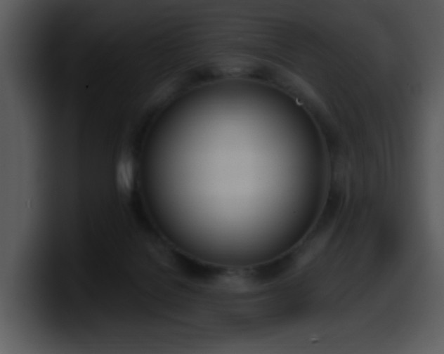 X0000100410076200806061350