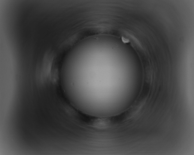 X0000100410077200806061350