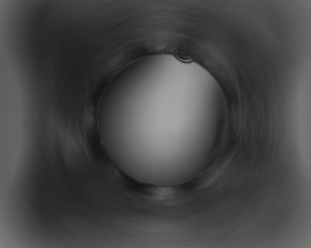 X0000100410085200806061350