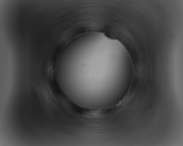 X0000100410086200806061350