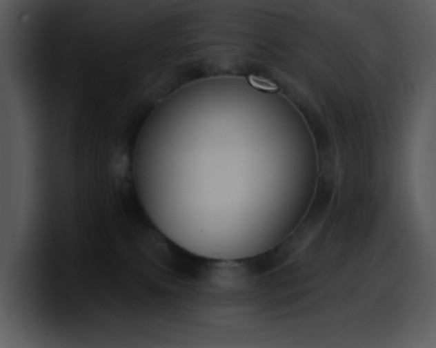 X0000100410087200806061350