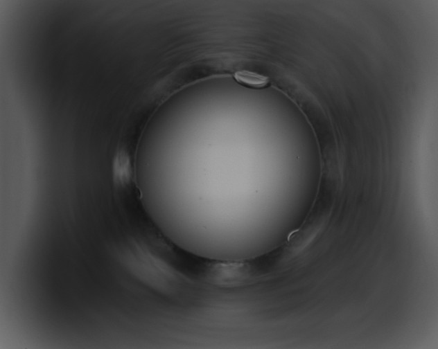 X0000100410089200806061350