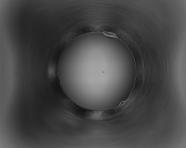 X0000100410090200806061350