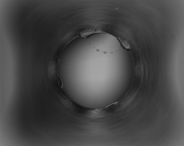 X0000100410092200806061350