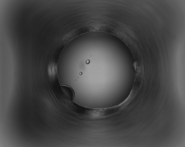 X0000100410094200806061351