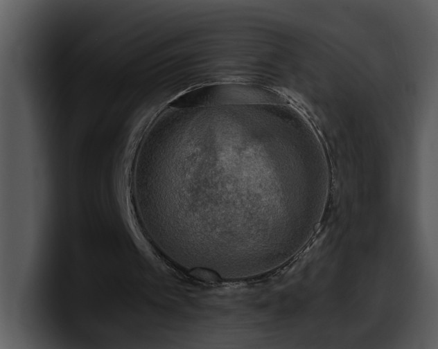 X0000100410097200806061350