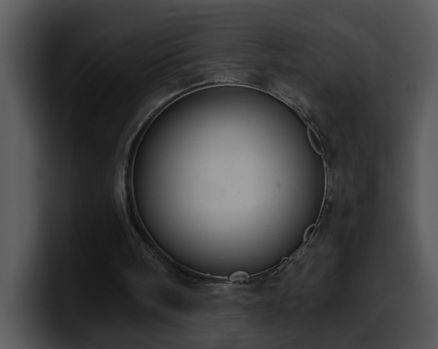 X0000100410098200806061350