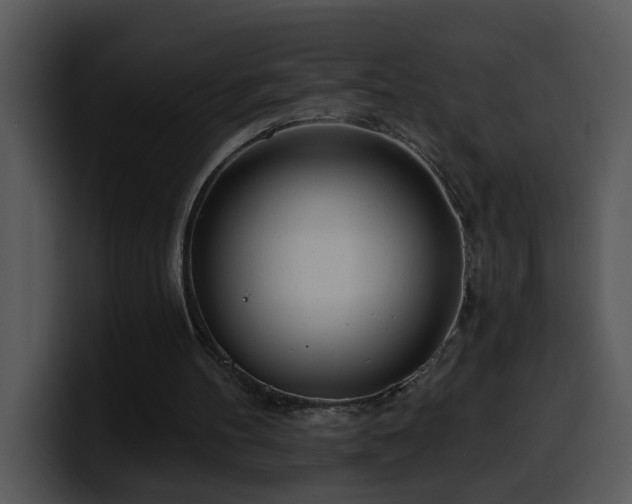 X0000100410100200806061350