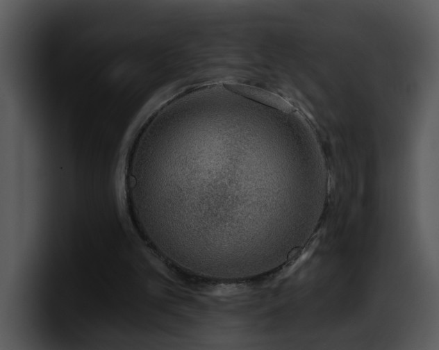 X0000100410101200806061350