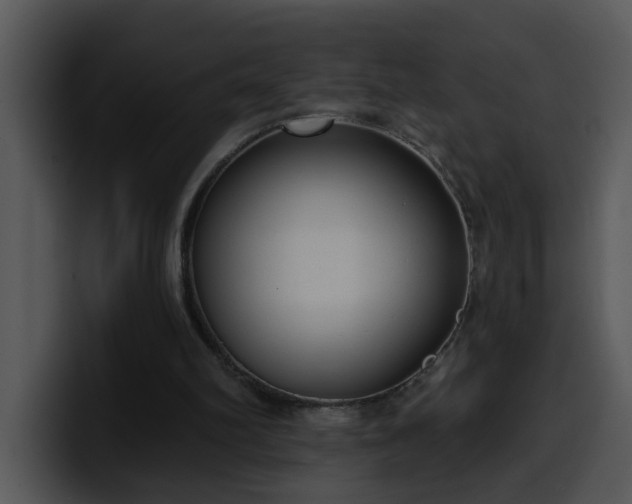 X0000100410102200806061350