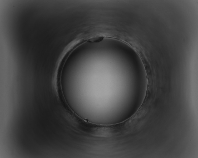 X0000100410104200806061350