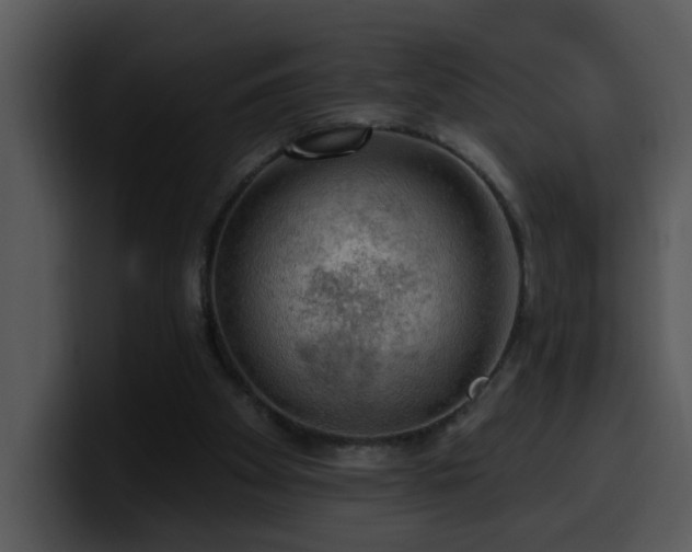 X0000100410105200806061350