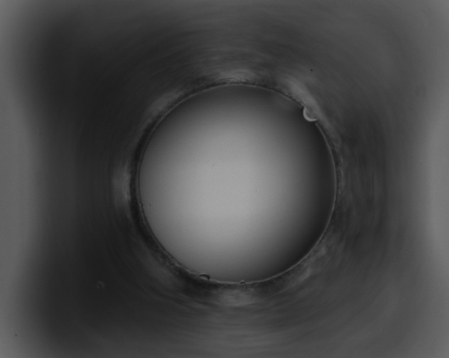 X0000100410106200806061350