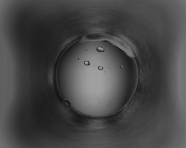 X0000100410107200806061350