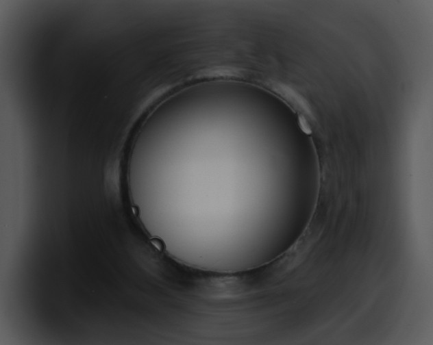 X0000100410108200806061350