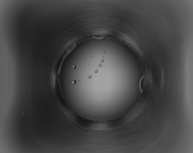 X0000100410110200806061350