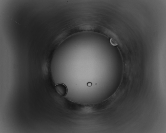 X0000100410114200806061350