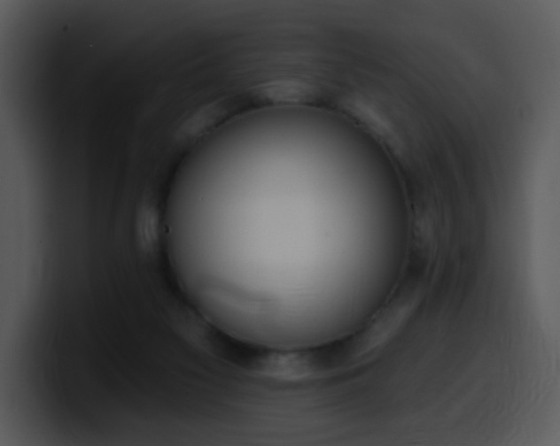 X0000100410117200806061350