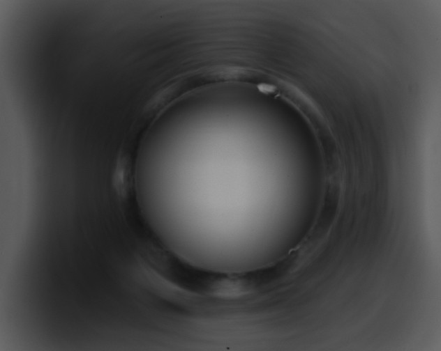 X0000100410119200806061350