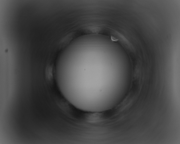 X0000100410122200806061350