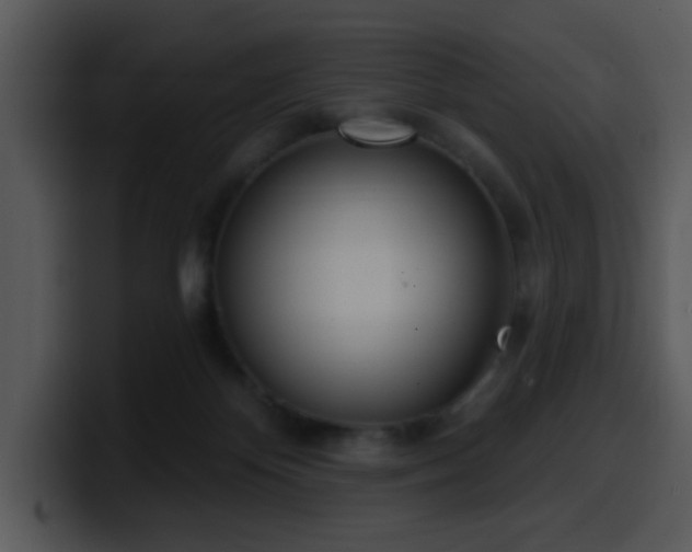 X0000100410124200806061350