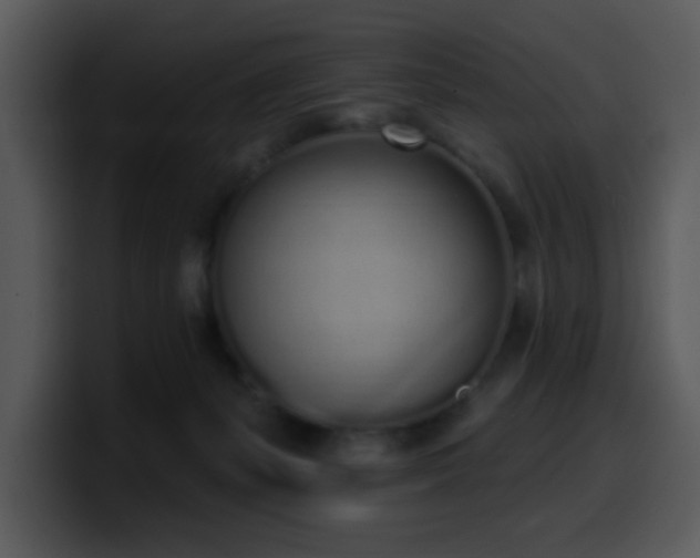 X0000100410127200806061350